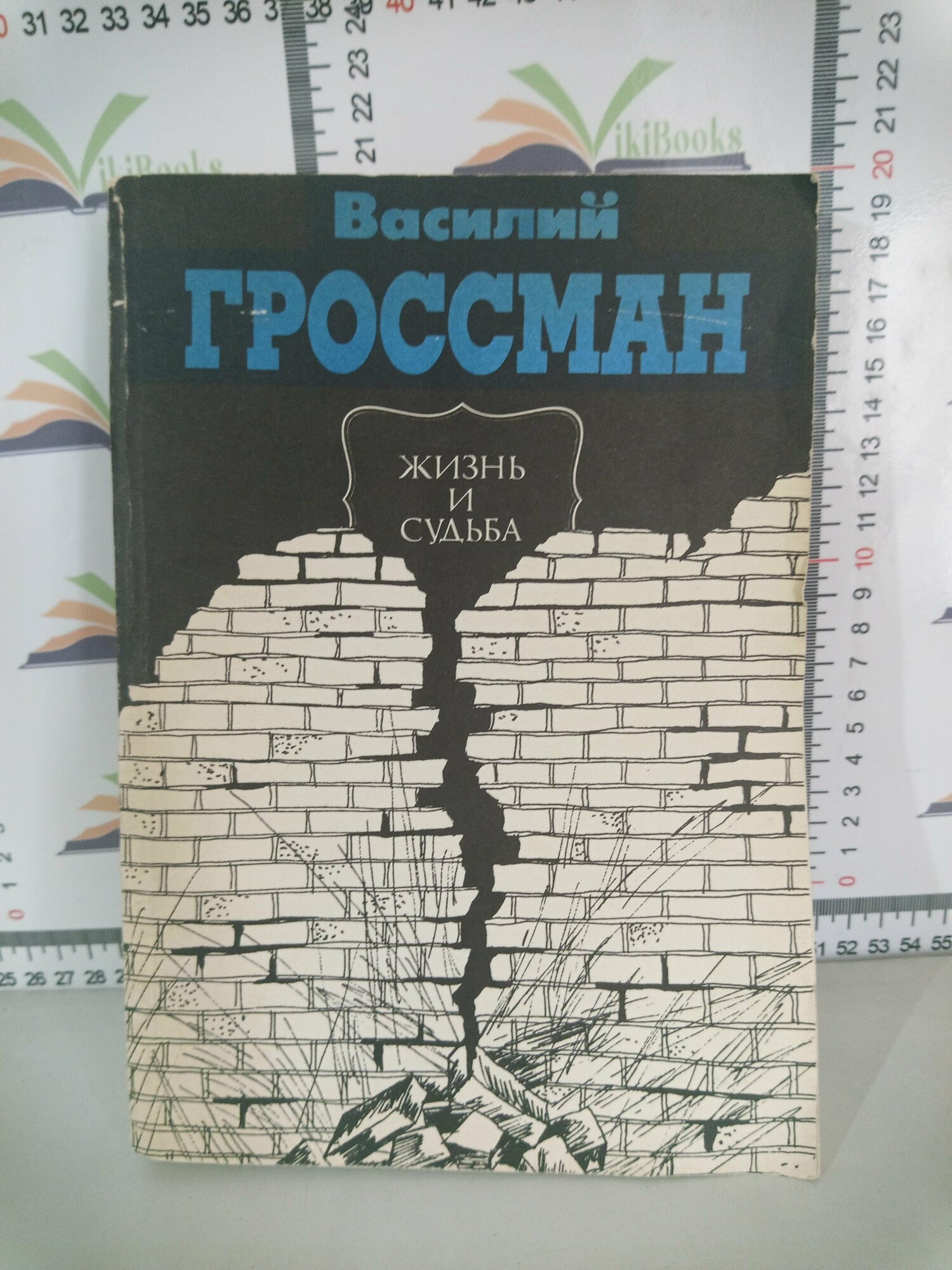 В. С. Гроссман / Жизнь и судьба