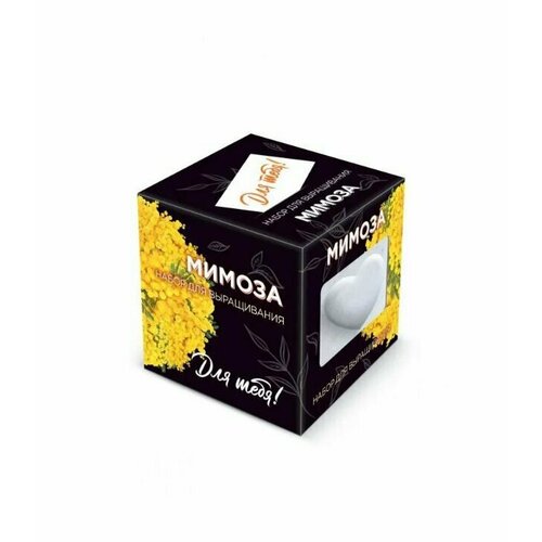 Набор для выращивания экоклуб Мимоза