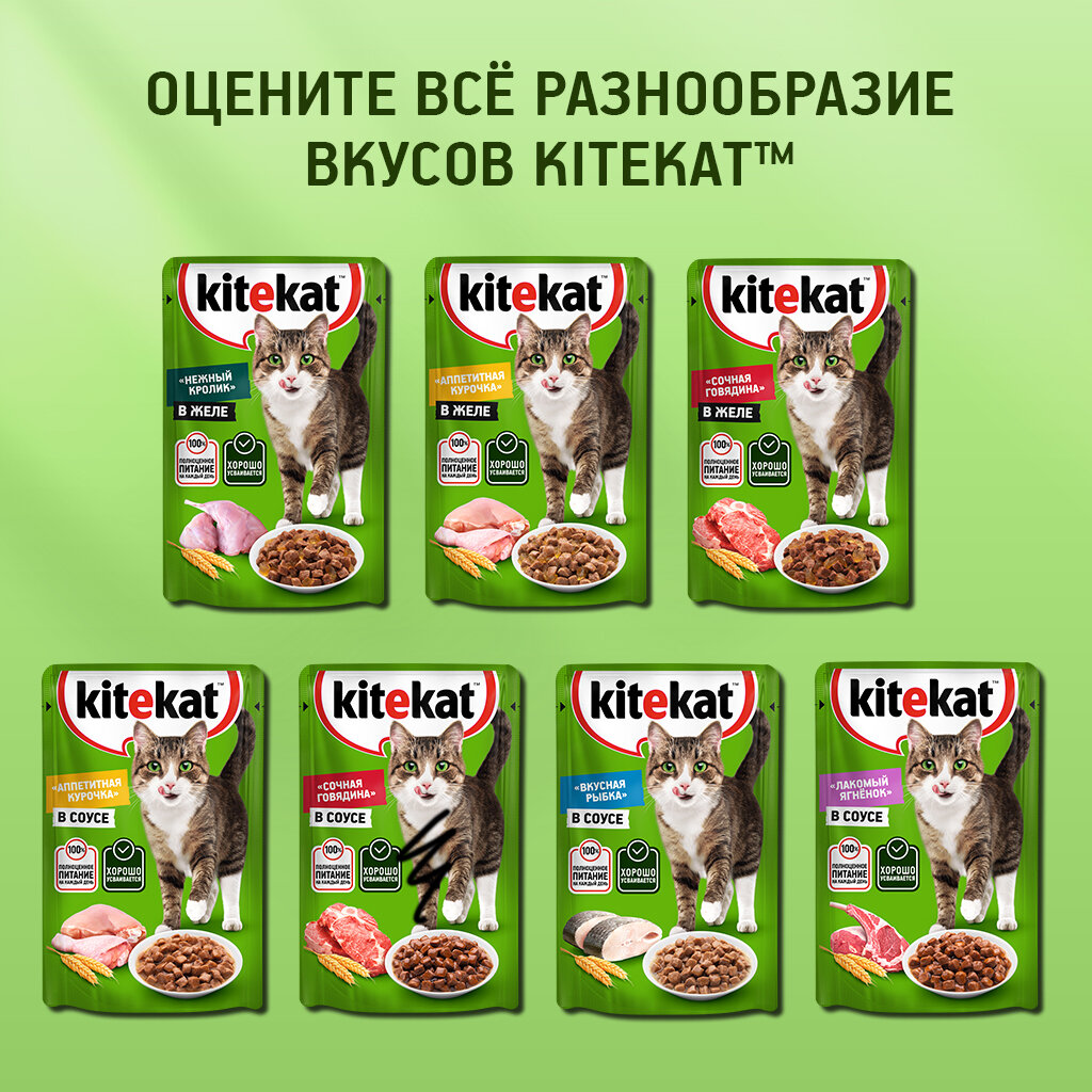 Kitekat Влажный корм для кошек,с ягненком в соусе, 85 г - фото №19