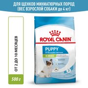 Royal Canin X-Small Puppy полнорационный сухой корм для щенков миниатюрных пород до 10 месяцев - 1 шт. х 500 г