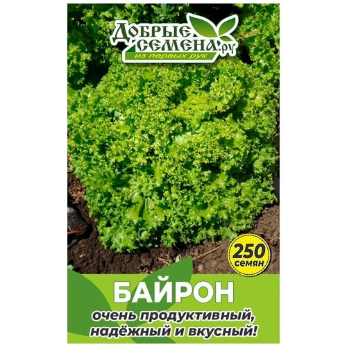 Семена салата Байрон - 250 шт - Добрые Семена. ру