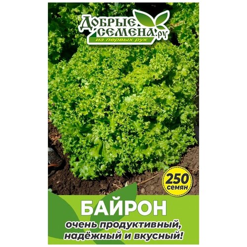 Семена салата Байрон - 250 шт - Добрые Семена. ру семена салата торин 250 шт добрые семена ру