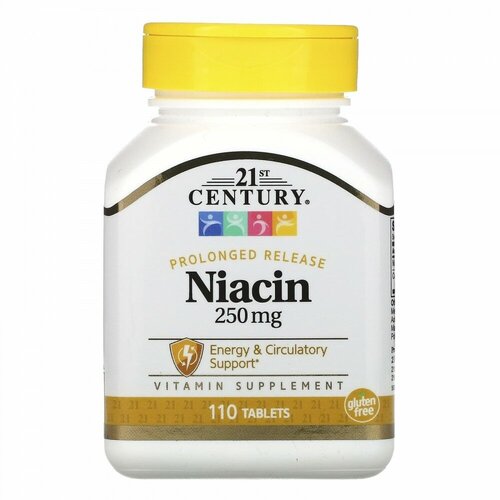 21st Century Niacin 250 mg 110 tablets