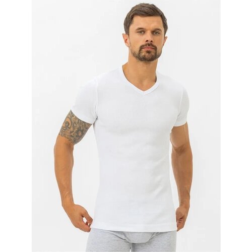 фото Мужская футболка pantelemone