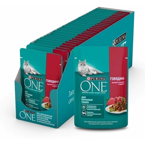 Влажный корм для кошек Purina ONE говядина, с морковью 26 шт по 75 г (кусочки в желе)