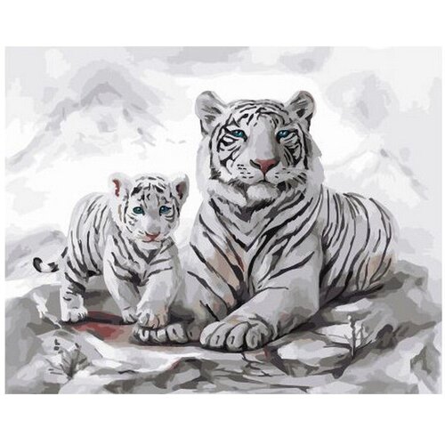 Картина по номерам Белая тигрица и тигренок 40х50 см Hobby Home