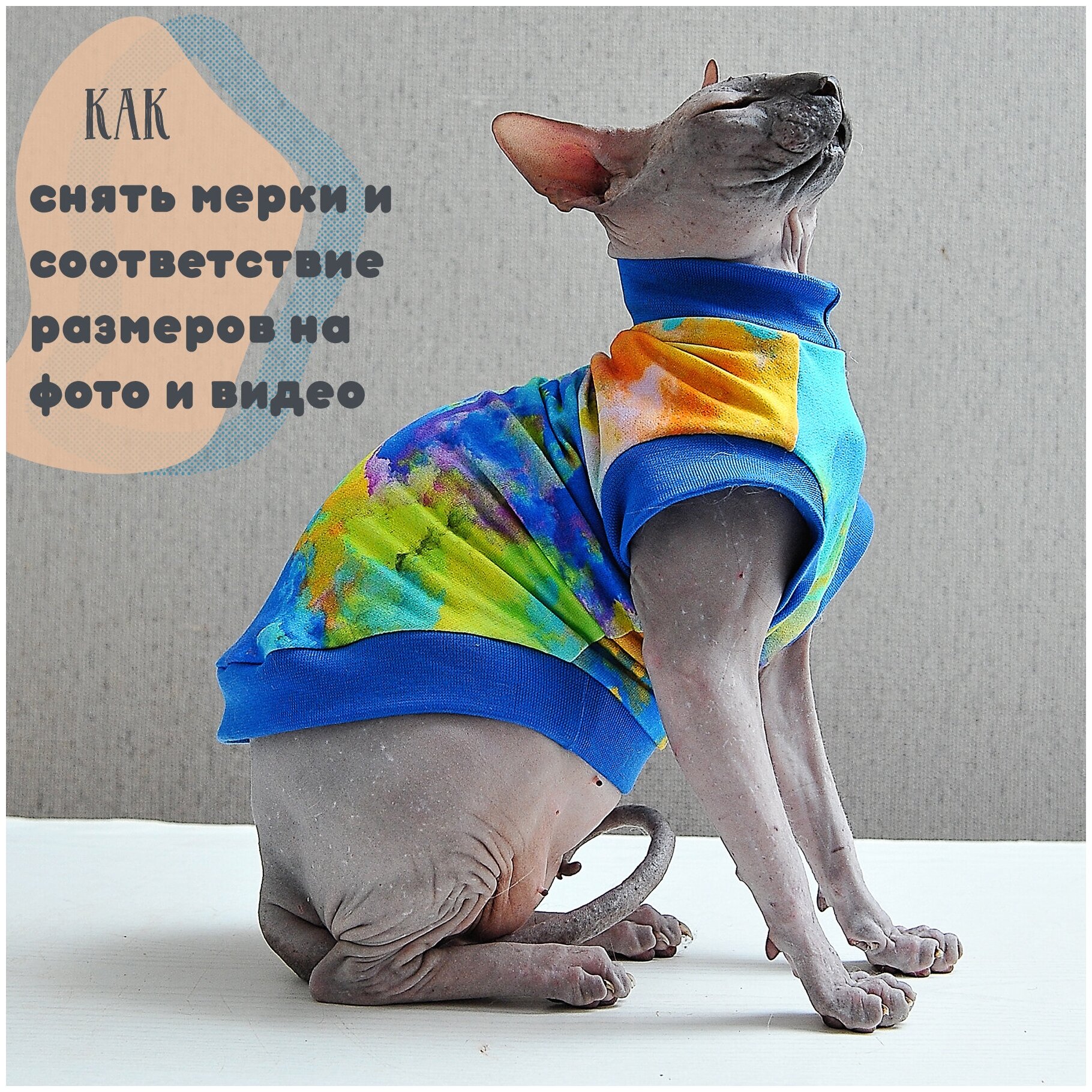 Одежда для кошек, котов и маленьких собачек - стильная майка с рисунком Фестиваль красок, подходит для сфинксов - фотография № 8