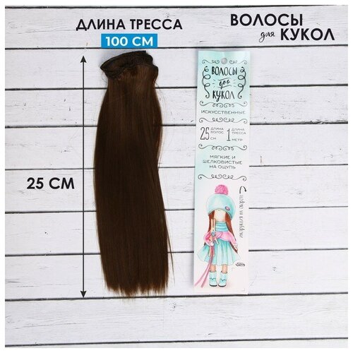 Волосы - тресс для кукол «Прямые» длина волос: 25 см, ширина:100 см, цвет № 8В волосы тресс для кукол прямые длина волос 25 см ширина 100 см цвет 613