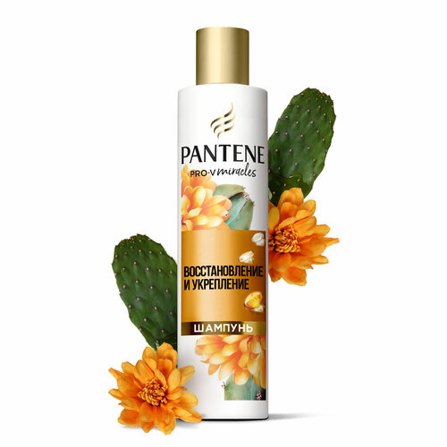 Pantene Pro-V Miracles         +   +  , 250 