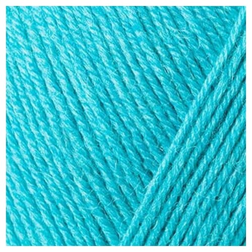 Regia 4-fadig 100g /Регия 4-фэдиг 100г/ пряжа Schachenmayr Regia, MEZ, 9801268 (06629)