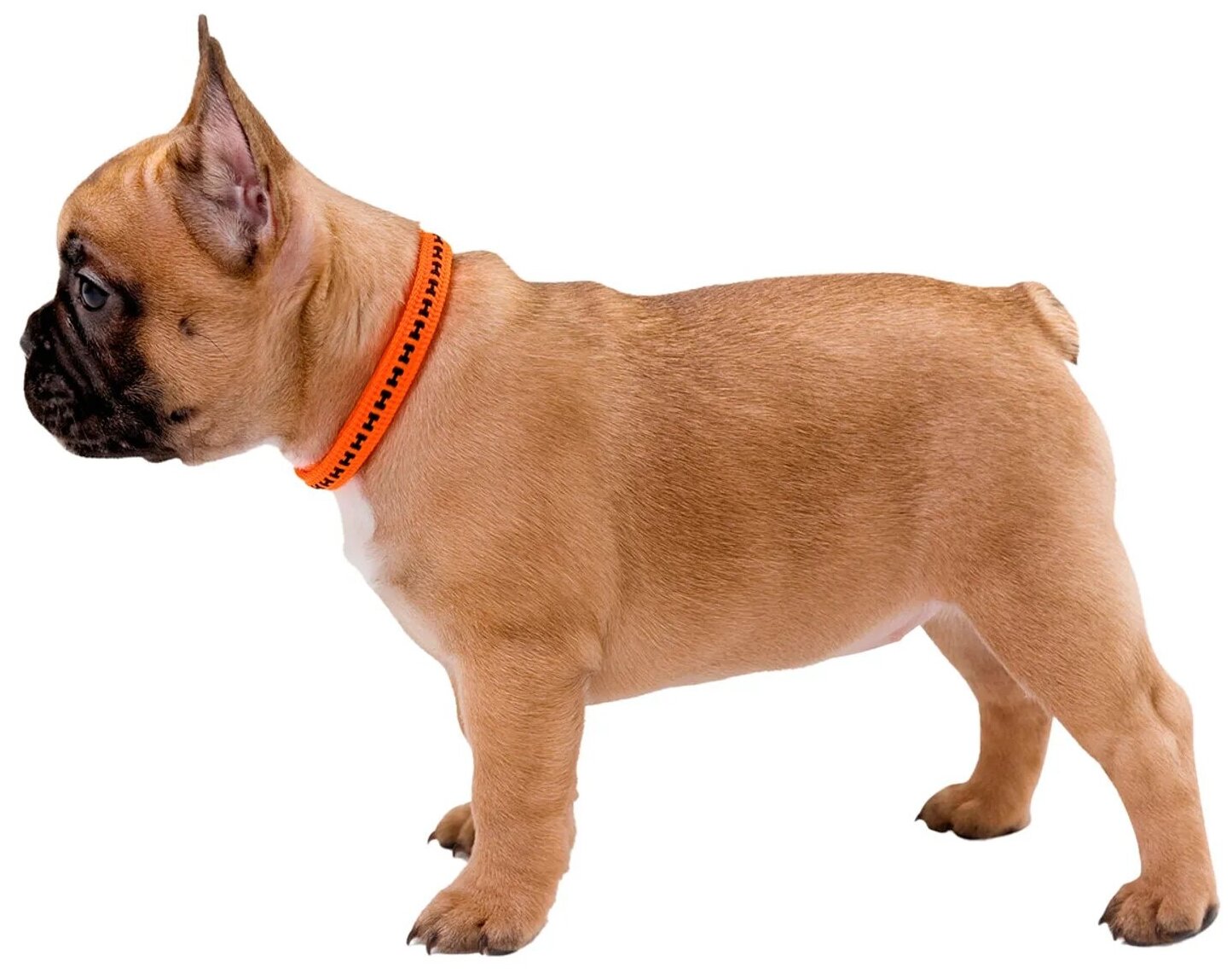 Hunter oшейник для собак Power Grip VP 45-65/XL (45-65 см) оранжевый . - фотография № 6
