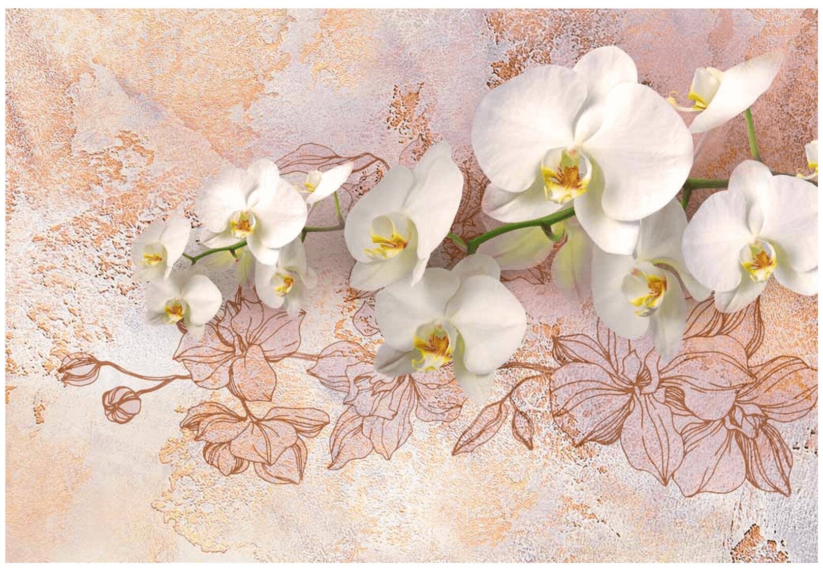 Фотообои Белоснежная орхидея 294*201