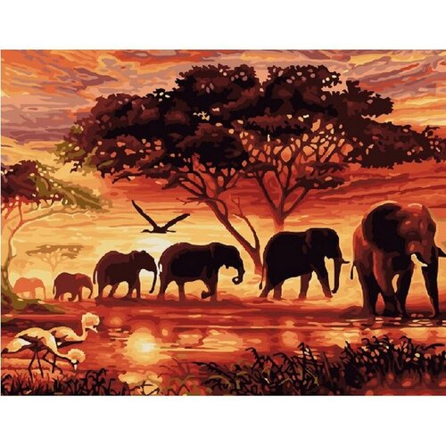 Картина по номерам Африканские слоны 40х50 см