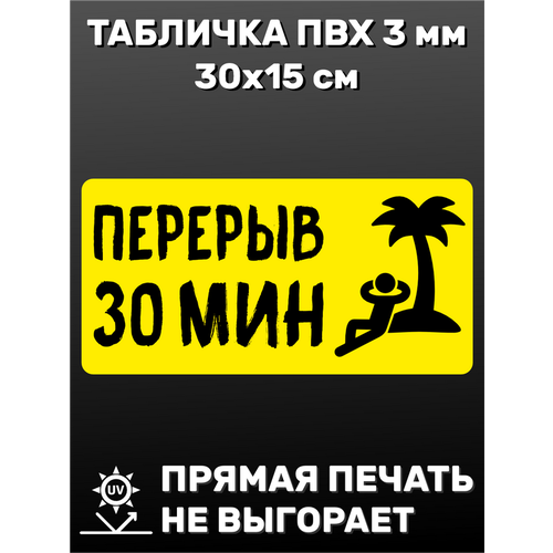 Табличка информационная Перерыв 30 минут 30х15 см табличка на дверь касса 30х15 см пвх пластик