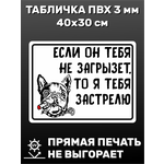 Табличка информационная Осторожно, злая собака! 40х30 см - изображение