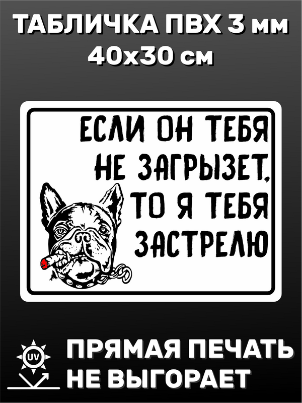 Табличка информационная Осторожно злая собака! 40х30 см