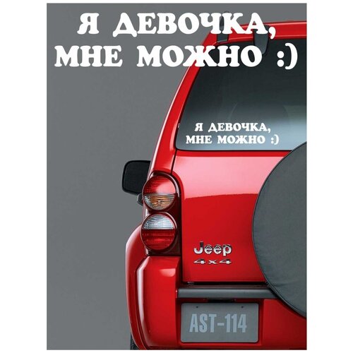 6 наклейка в упаковке;виниловая наклейка на машину;Наклейка на машину;наклейка прикол;наклейка для машины в подарок;Автонаклейка