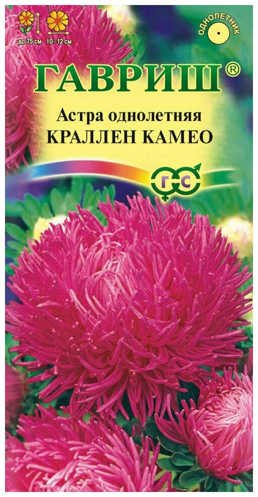 Гавриш Астра Краллен Камео однолетняя коготковая темно-розовый 03 гр