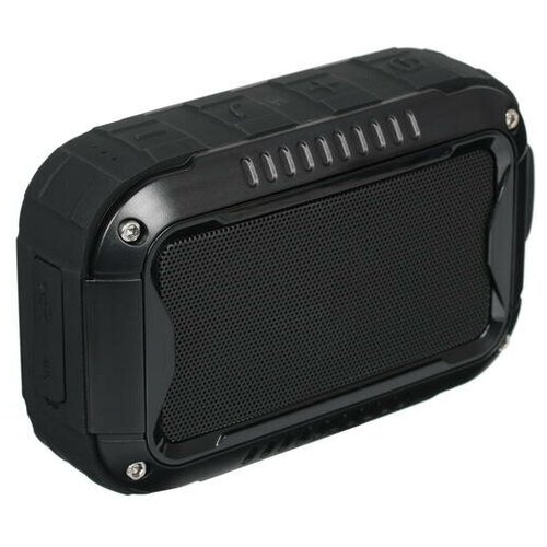 Портативная колонка DEXP P390 черный 216300₽