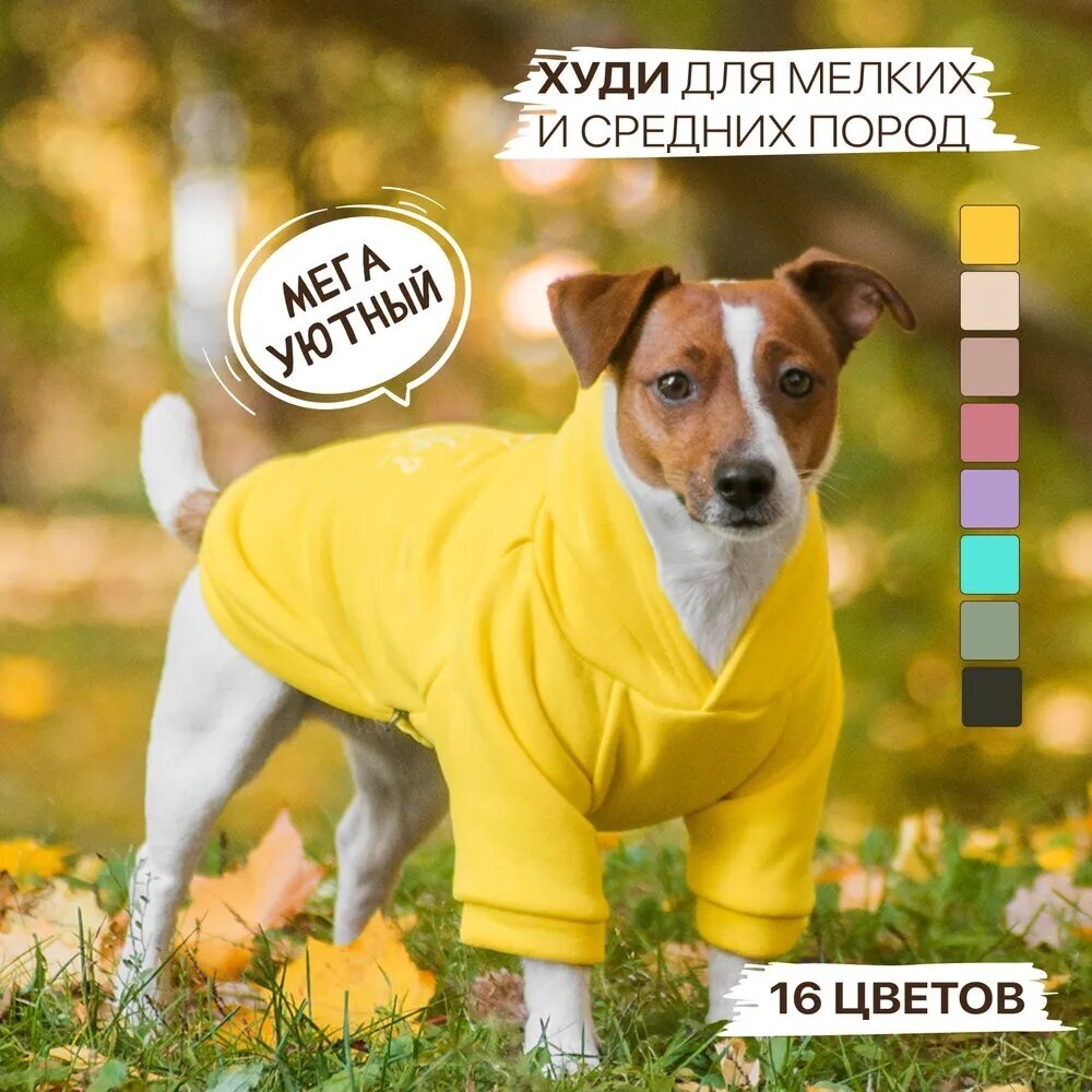 Толстовка худи для собаки с капюшоном, демисезонная одежда для животных, собак мелких и средних пород