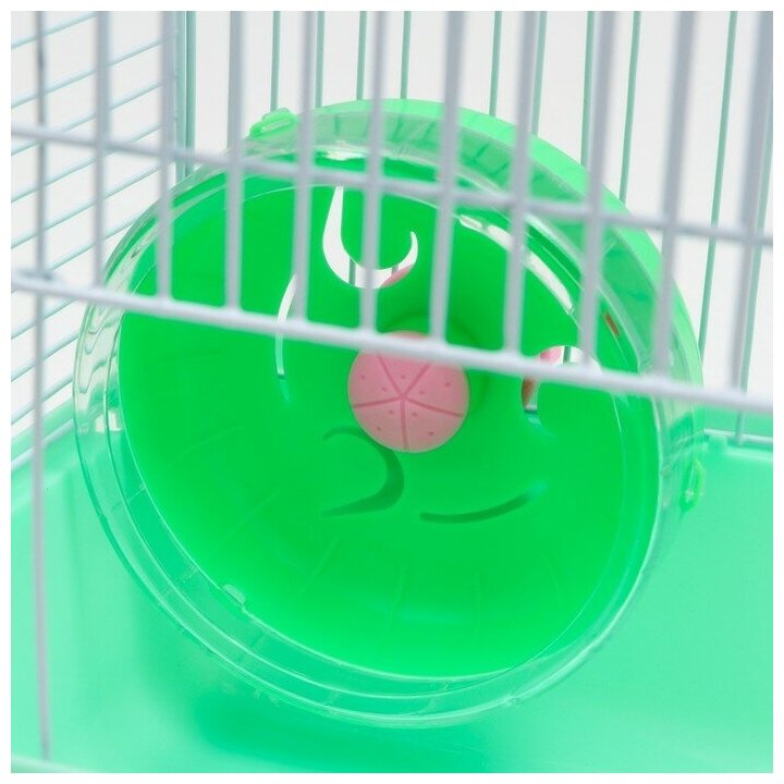 Пижон Клетка для грызунов "Пижон", 23 х 17 х 26 см, эмаль, зелёная - фотография № 5
