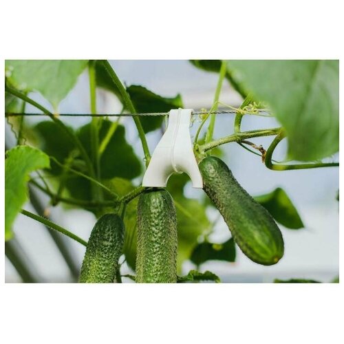 Кистедержатель для вьющихся растений, 6 см, набор 5 шт, белый