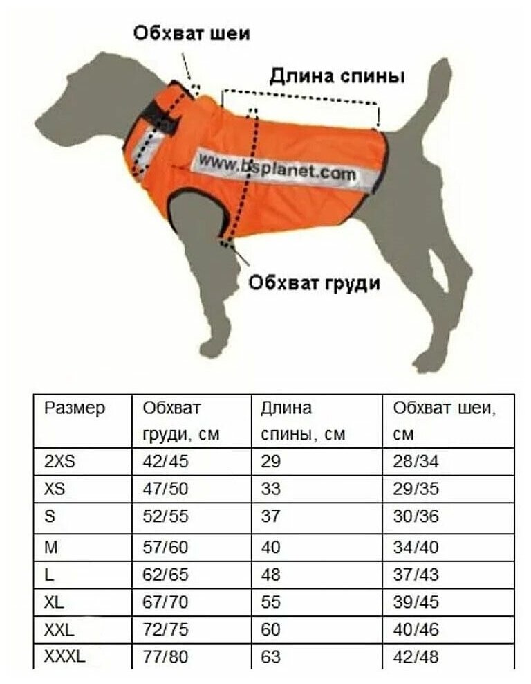 Жилет-попона для собак. - фотография № 5