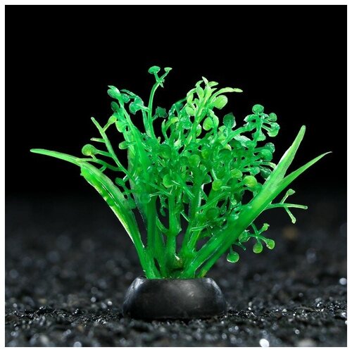 Растение искусственное аквариумное, 5 см, зелёное, 1 шт.