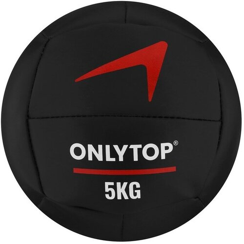 Медицинбол ONLYTOP, 5 кг, d=24 см медицинбол e252 кожзам 12 кг черный effort