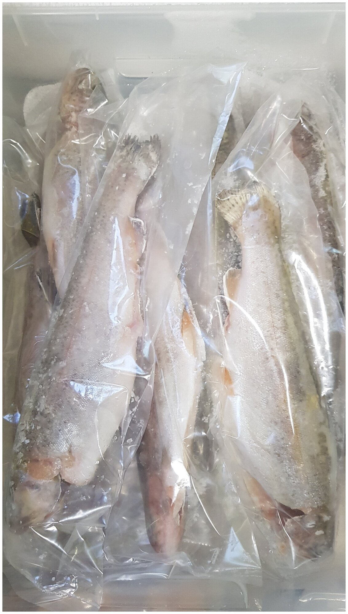 Пакеты фасовочные пищевые полиэтиленовые в рулоне для рыбы 25х80 20мкм 100 штук - фотография № 2