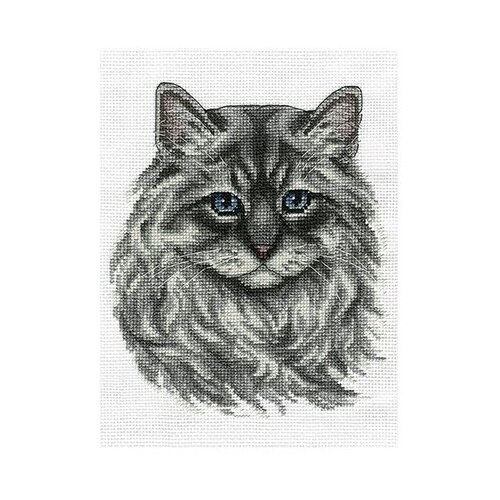 PANNA Набор для вышивания Невский маскарадный кот (Ж-1816), разноцветный, 17 х 20 см