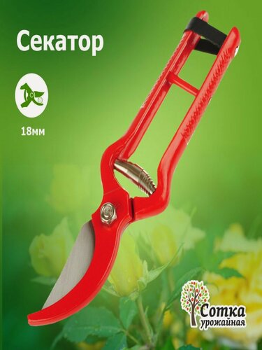 Изображение товара Секатор садовый ручной `Урожайная сотка`, профессиональный, 230 мм