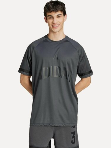 Изображение товара Футболка Seasonal Essentials US Sport Tee