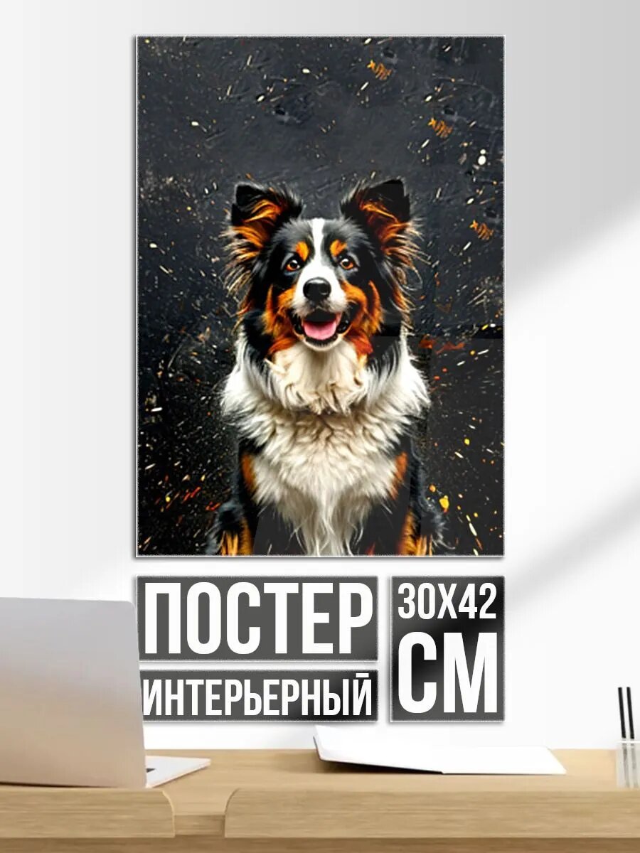 Постер на стену Бордер-колли на черном