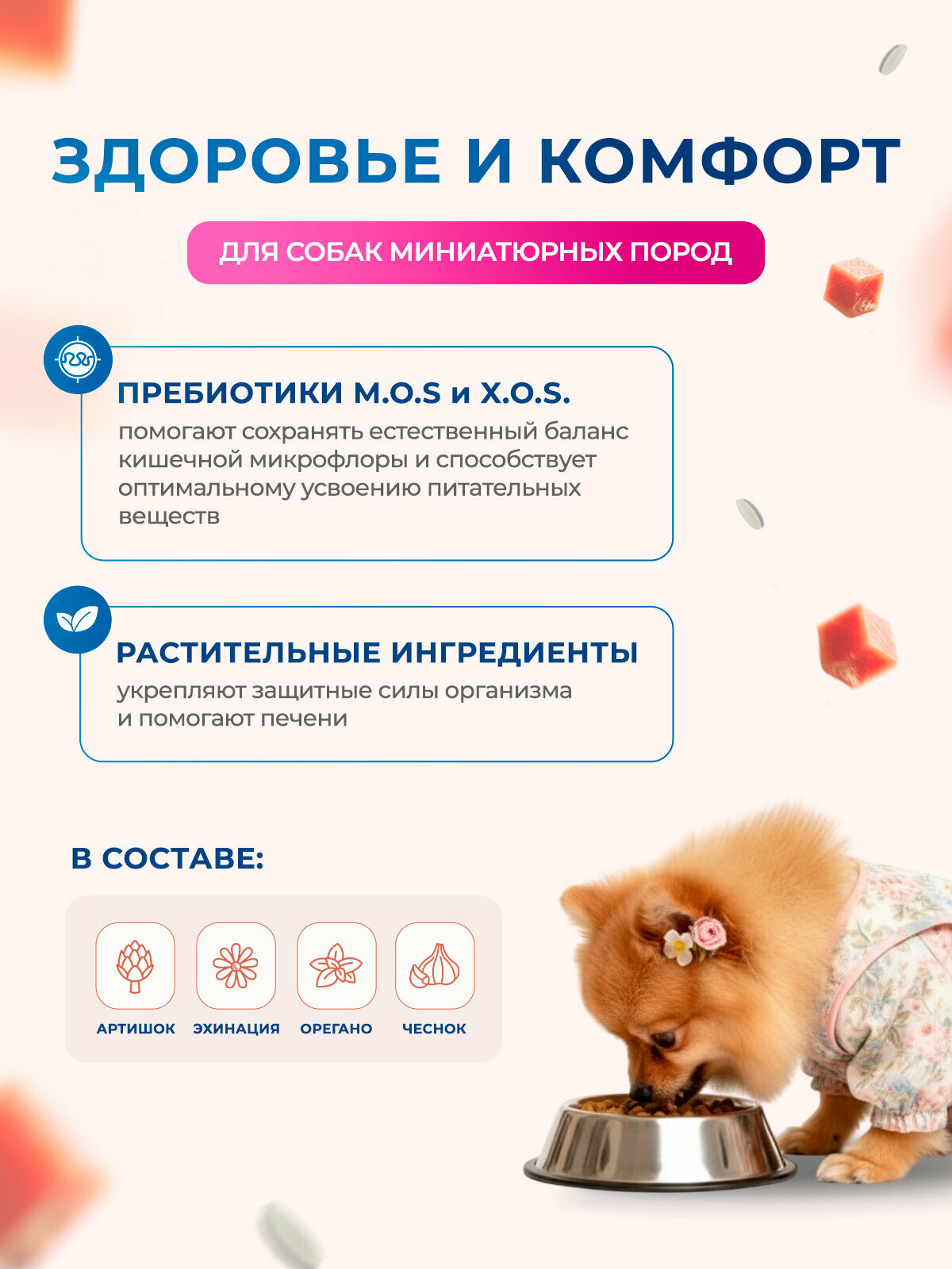 Сухой корм для взрослых собак Monge Dog Speciality Line Extra Small миниатюрных пород, ягненок с рисом и картофелем 2,5кг — фото 1