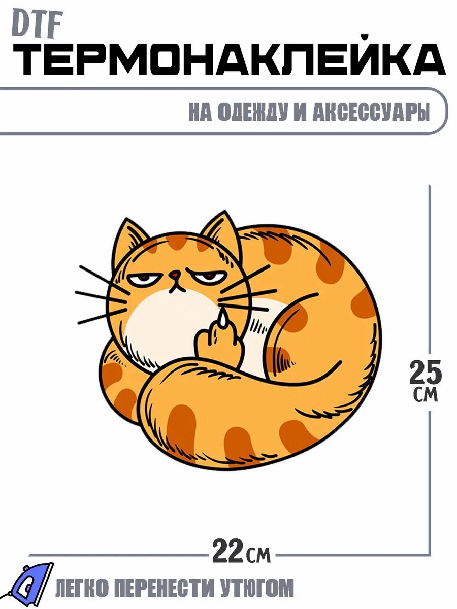 Термонаклейка Кот сердитый