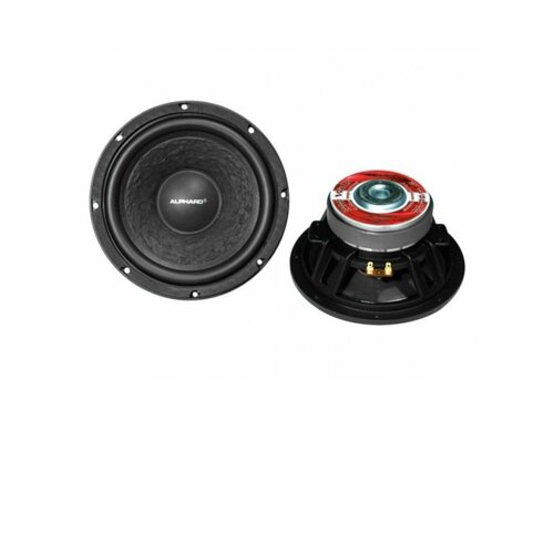 Динамик 260x122мм 4 Ом LW-100A4 Alphard 380000₽