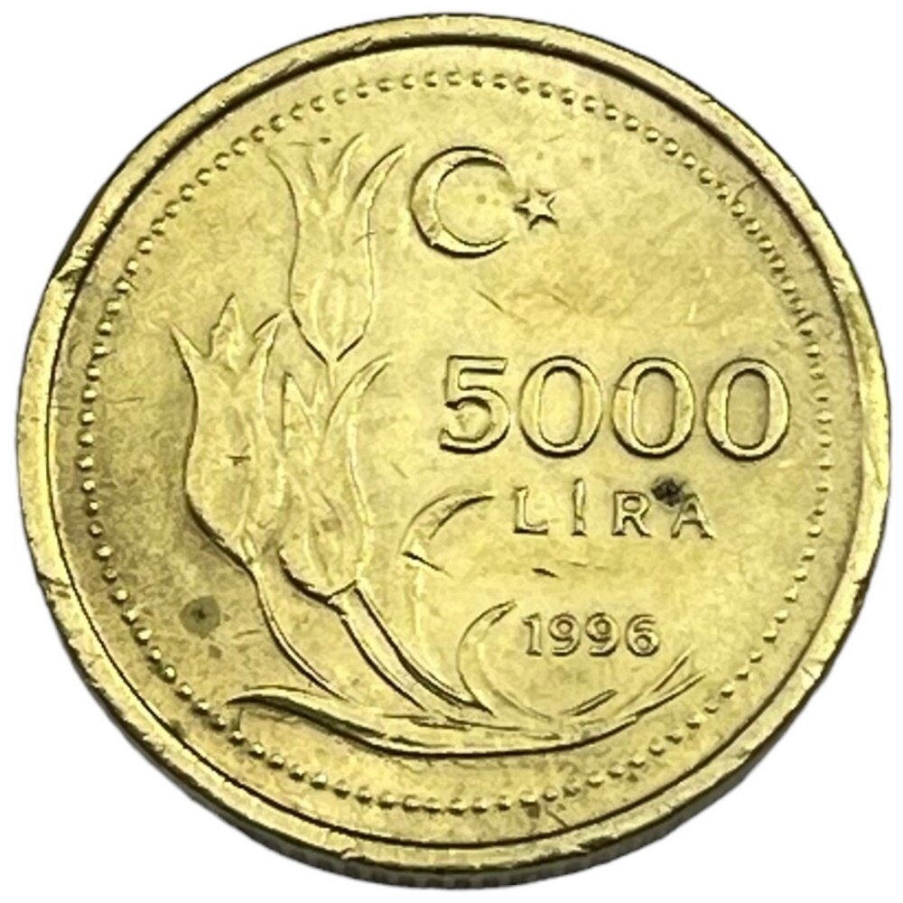 Турция 5000 лир 1996 г.
