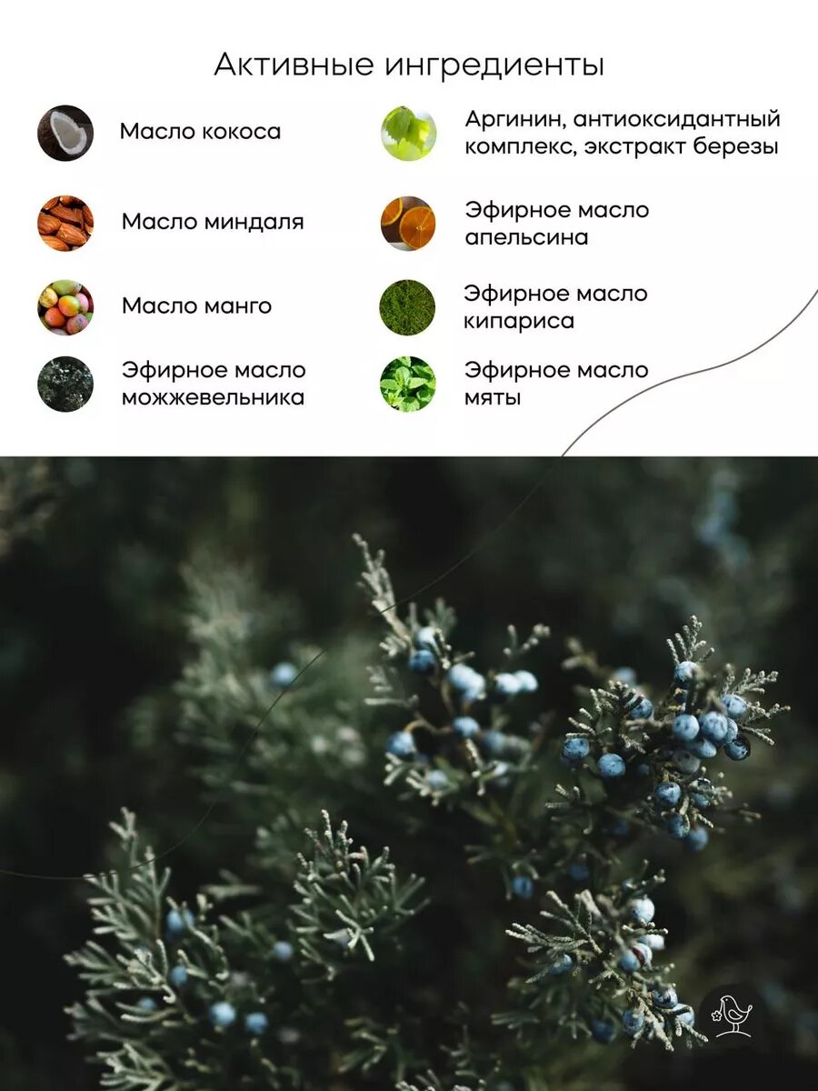 Крем-баттер "Кавказский Лес" Краснополянская, антицеллюлитный, для тела, 150 мл — фото 1