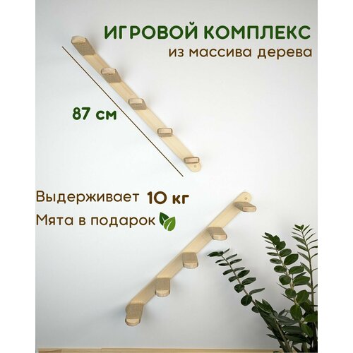 Лесенка настенная для кошек, набор из 2 шт. , игровой комплекс на стену, мостик