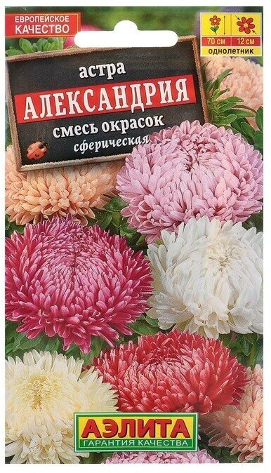 Семена цветов Астра "Александрия", смесь окрасок, О, 0,2 г