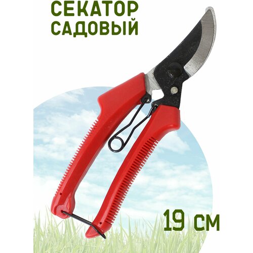 Секатор садовый 19см