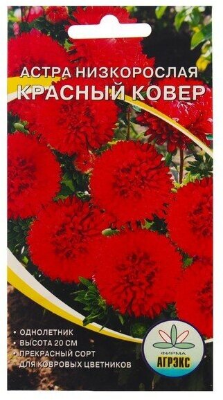 Семена Цветов Астра низкорослая Красный ковер  02 г