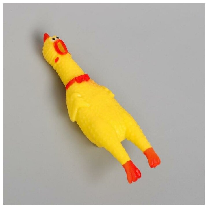 Игрушка пищалка «Курица», 16 см, дворняга - фотография № 2