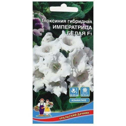 Семена комнатных цветов Глоксиния Императрица Белая, F1, 5 шт, ( 1 упаковка ) семена глоксиния императрица белая 5шт цп