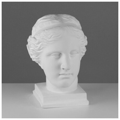 Гипсовая фигура Голова Венеры Милосской, 22 х 32 х 35 см гипсовая фигура голова цезаря 20 х 27 х 52 см