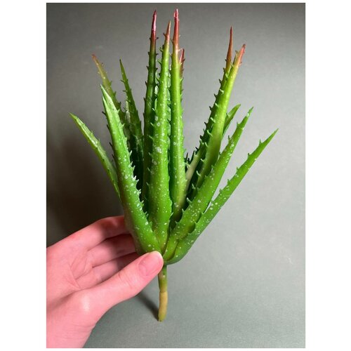 Алоэ, реалистичное высококачественное растение для террариума Simbel №74