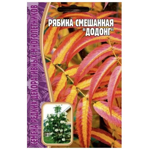 Рябина Смешанная додонг, 1 пакет, семена 5 шт, ЧК