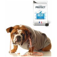 Сухой корм для собак Pro-Nutrition Flatazor Protect Obesite для снижения веса и при сахарном диабете (12кг)