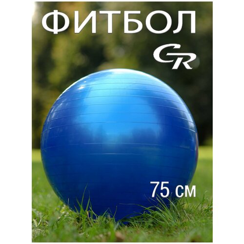 Фитбол Джамбо Тойз JB0206574 синий 0.81 кг